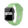 Mint Green iWatch Silicone Strap Compatible with Watch Series Se/7/6/5/4/3/2/1 Size: 38mm/40mm/41mm